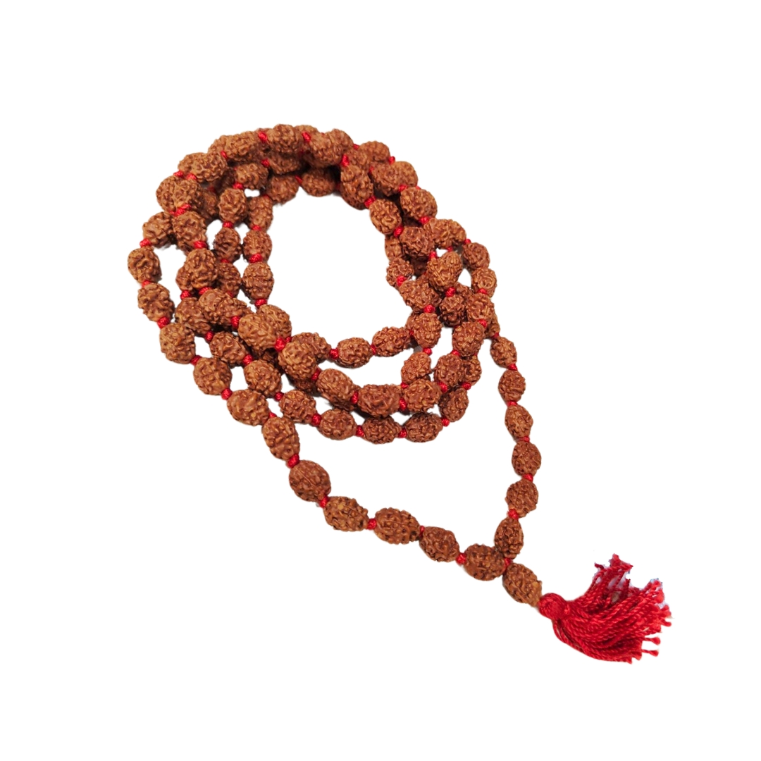 4 mukhi rudraksha mala